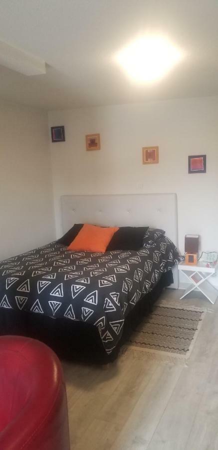 Appartamento Studio 1 Saint-Martin-la-Plaine Esterno foto